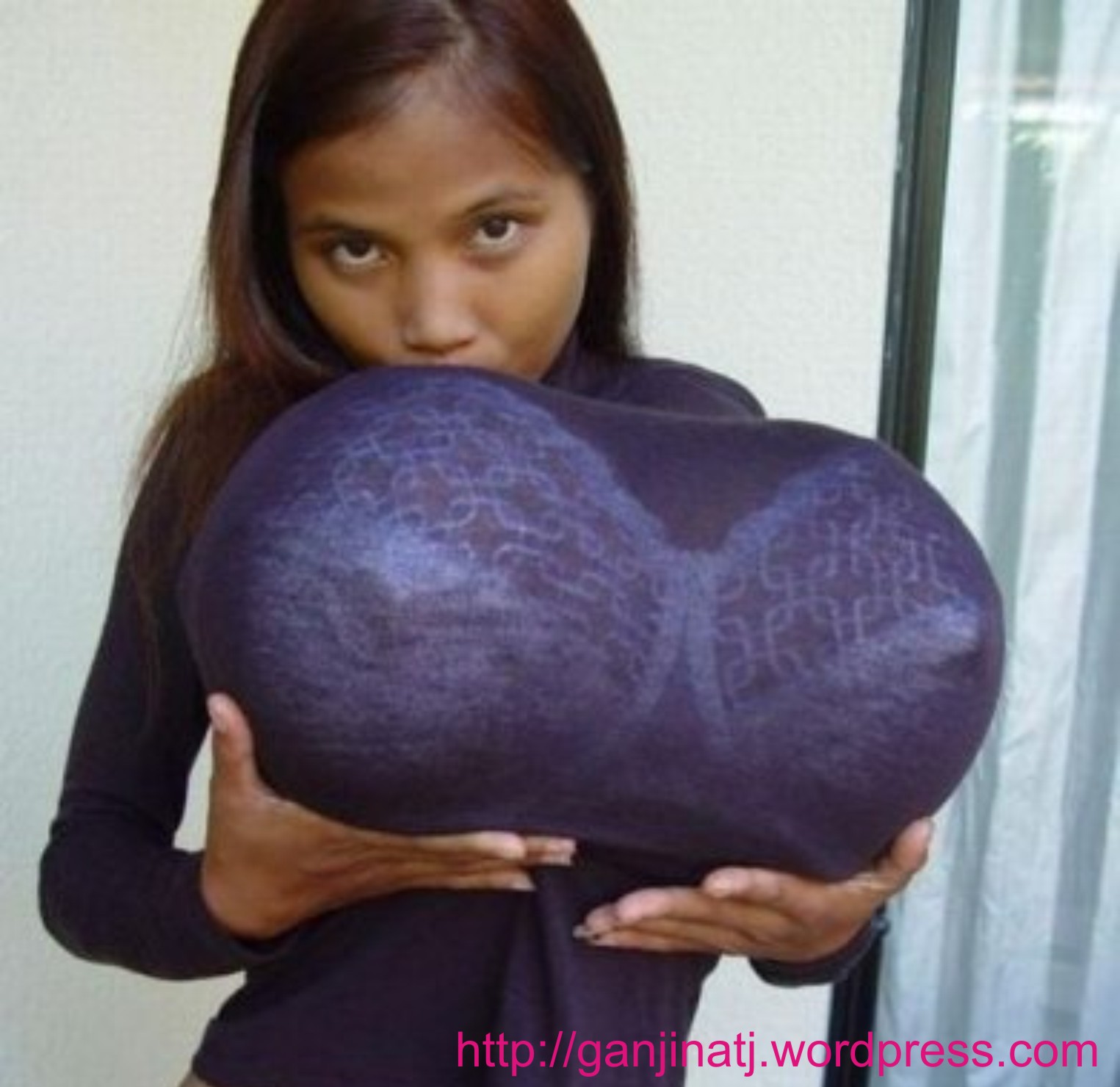 огромная грудь женщин мира фото 109
